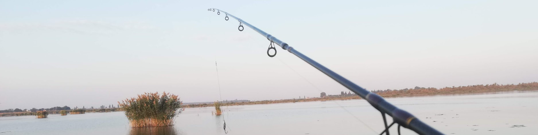 DAIWA Exceler Spin